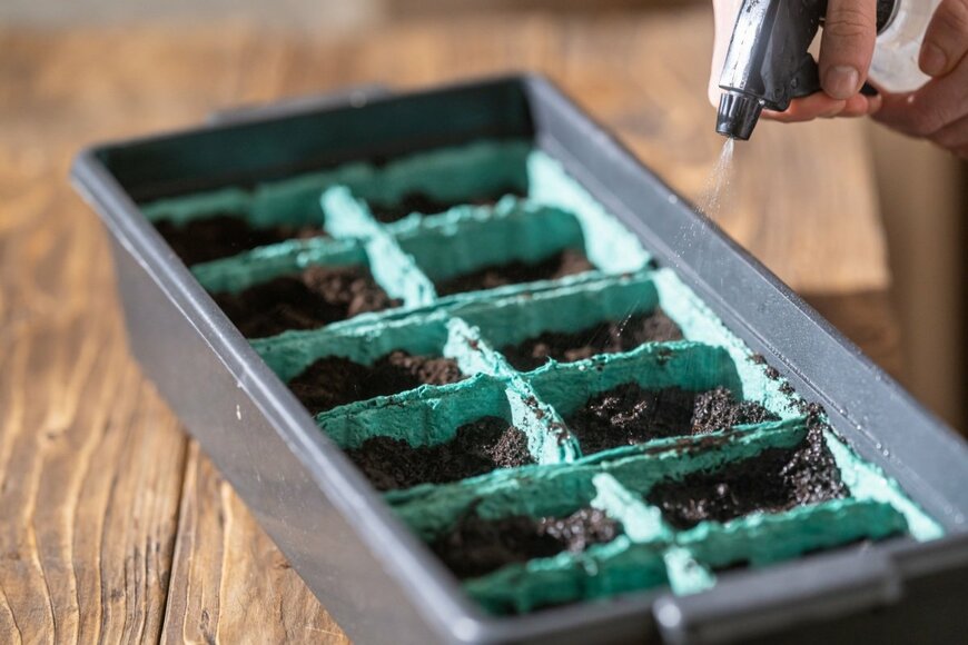 ポットに水やりをする人