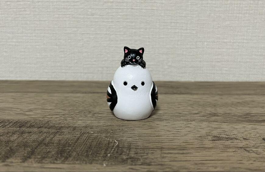 キャンドゥ、リトルフレンド頭にちょこんとシマエナガ画像