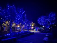 埼玉県・芦ヶ久保「あしがくぼの氷柱」 延期の末に13日公開開始　遅れたのはなぜ？ さらに遅れる可能性は？ 