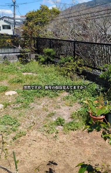 投稿の画像