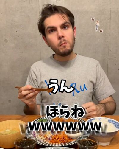 投稿動画のワンシーン