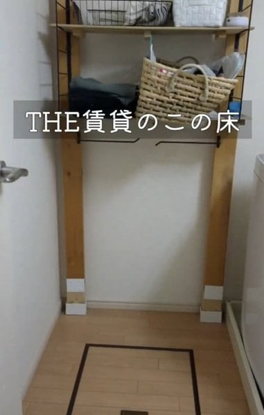 投稿の画像