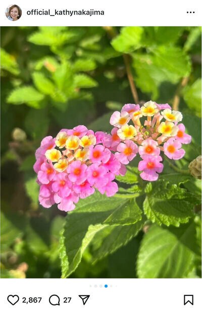 キャシー中島のInstagram投稿