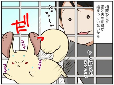 チンチライフ180話
