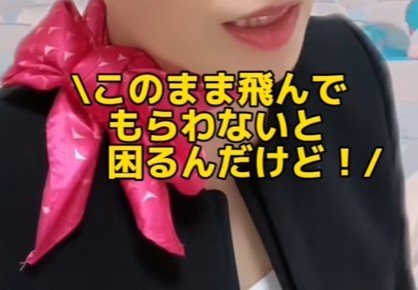 パリから羽田に向かう途中で機材トラブルが発生！クレームを受ける中で出会ったまさかのお客様とは