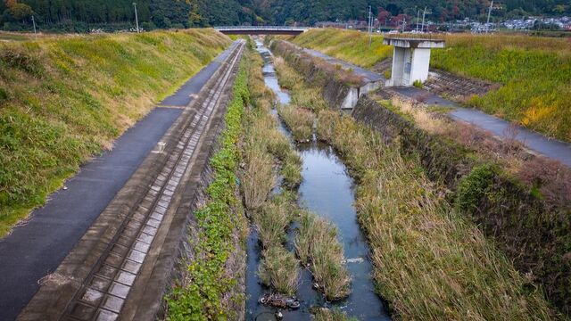 用水路で発見された「オレンジ色のザリガニ」 珍しい体の色に「ボイル済みみたい」