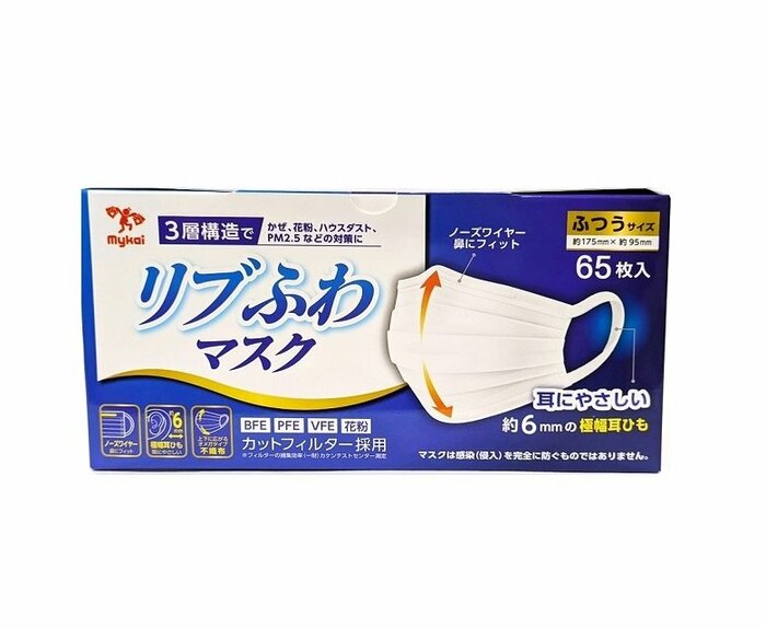 花粉、PM2.5、ハウスダストの対策にぴったりな3層構造のプリーツマスク