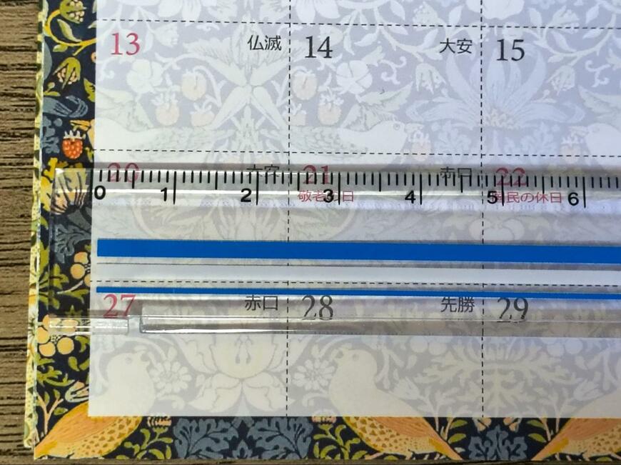 筆者撮影（セリア、卓上カレンダー マスターピースコレクション/WM 4月始まり）