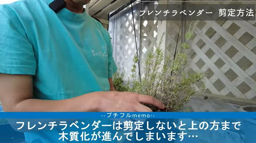 出所：@petit_fleur