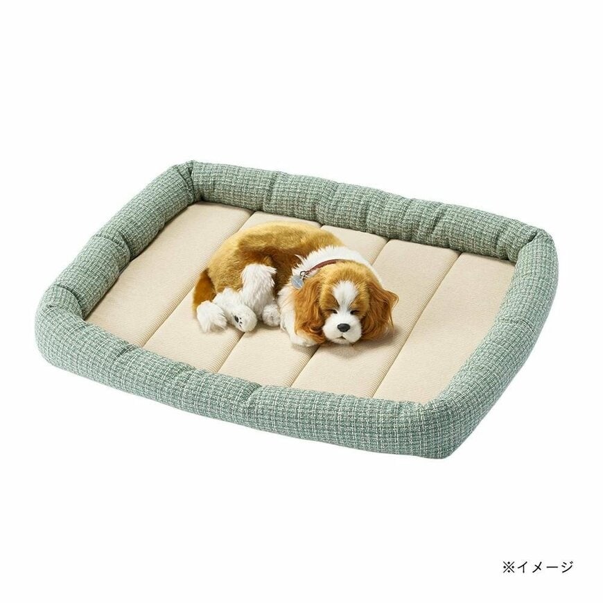 画像出所：カインズ公式オンラインストア