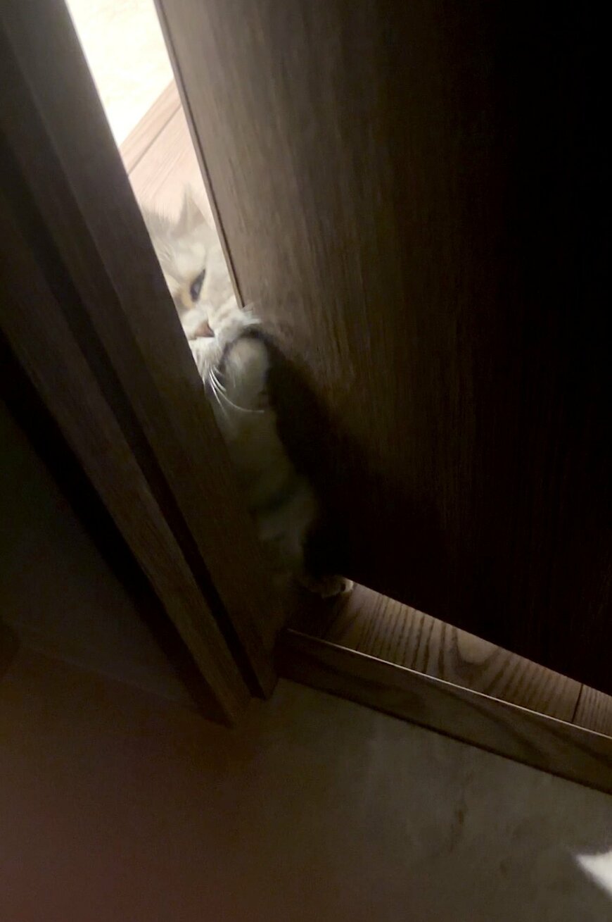 出所：@himaritomugi