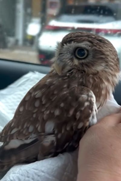 出所：@cr8673.hiro