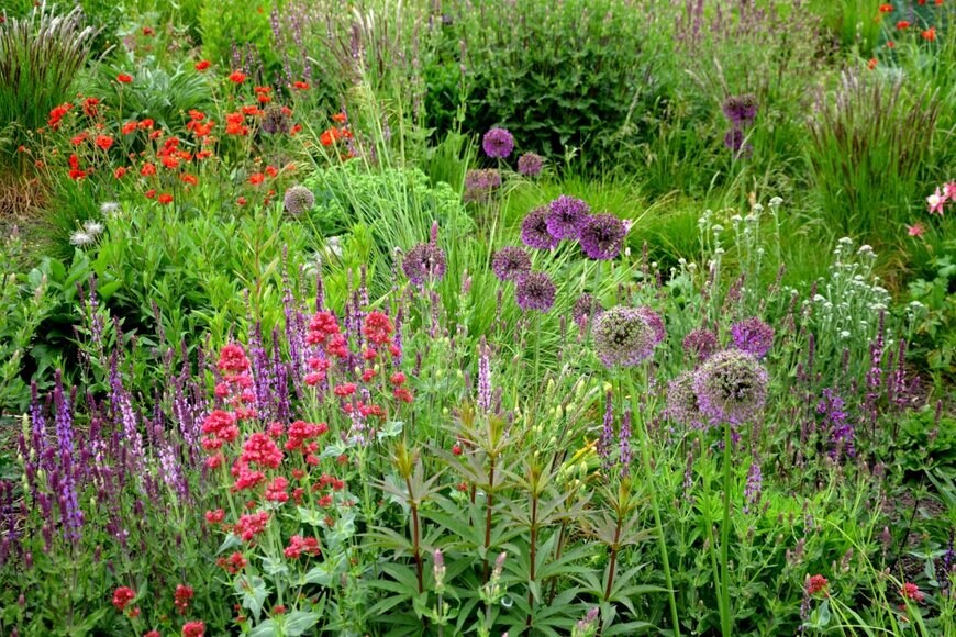 Beekeepx/shutterstock