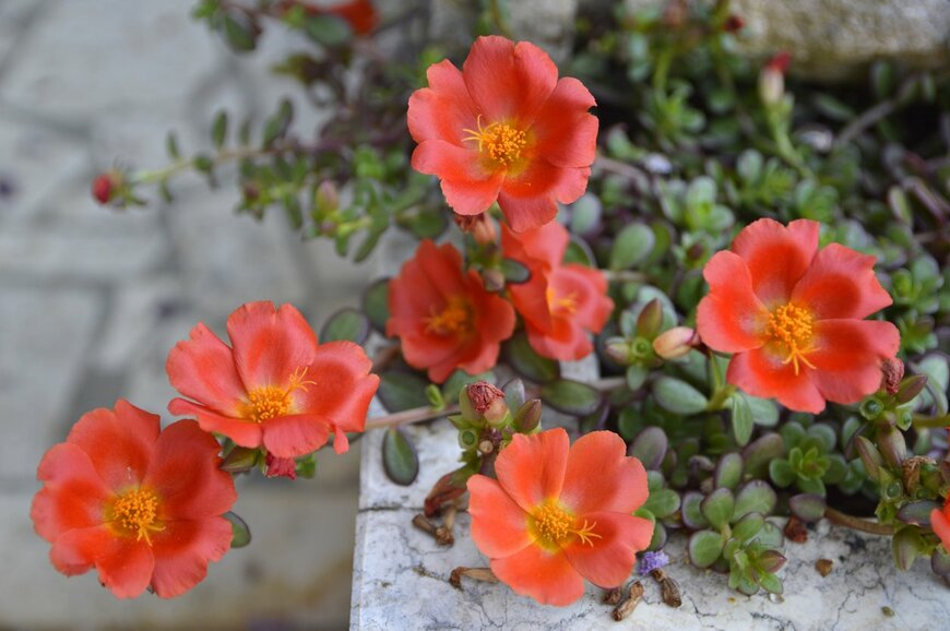 Jana Milin/istockphoto.com