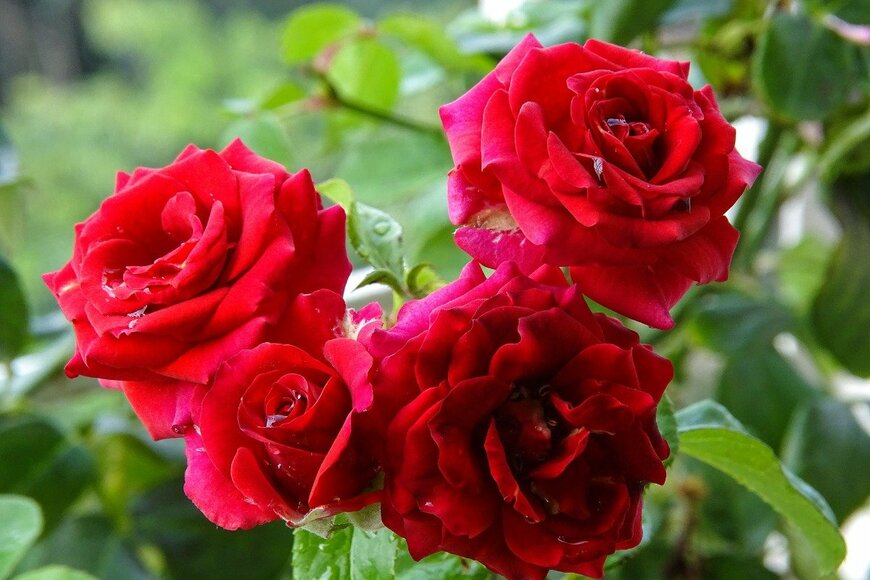 AVR/istocckphoto.com