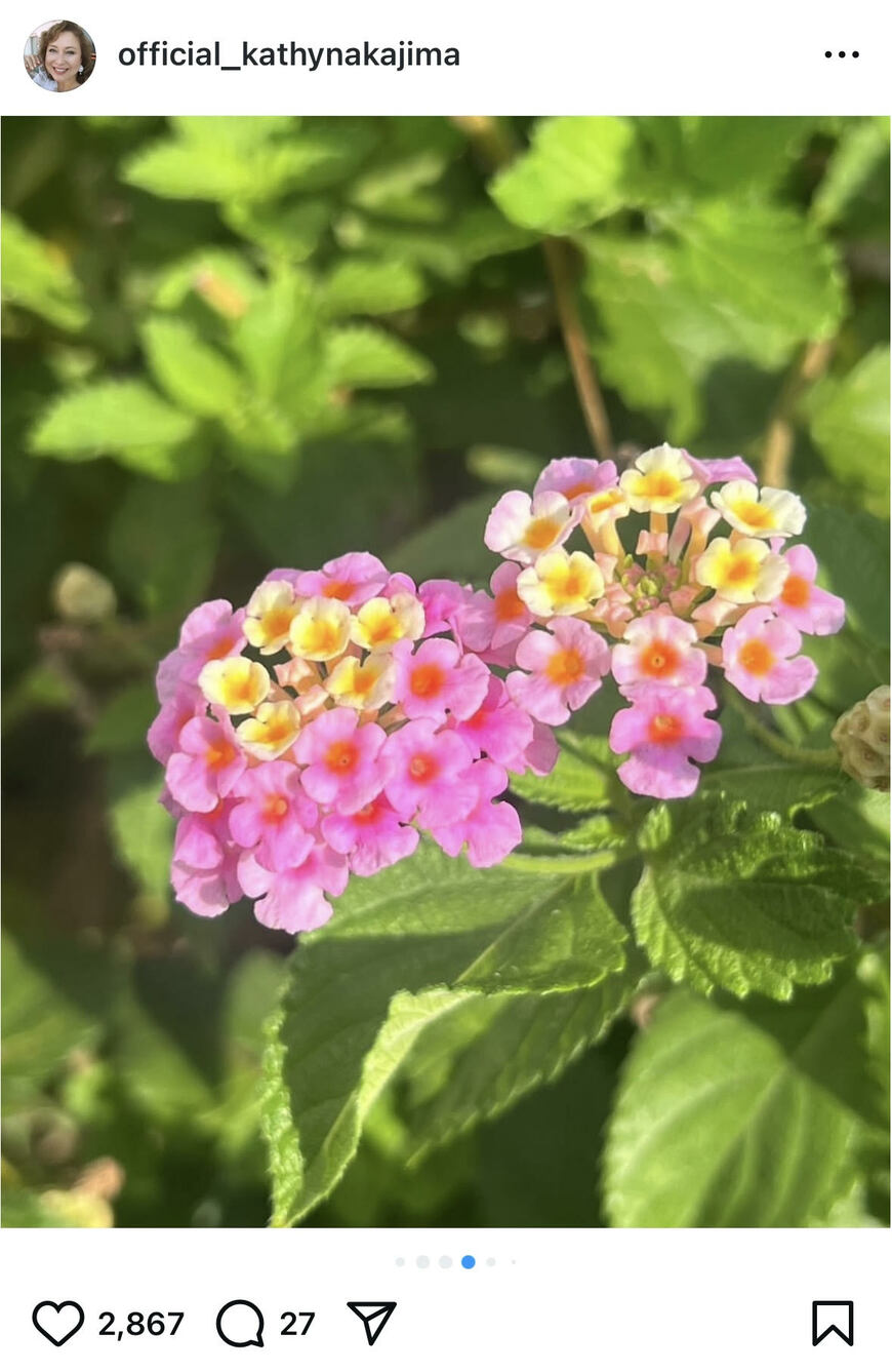 出所：キャシー中島のInstagram（＠official_kathynakajima）参照日：2025年7月24日
