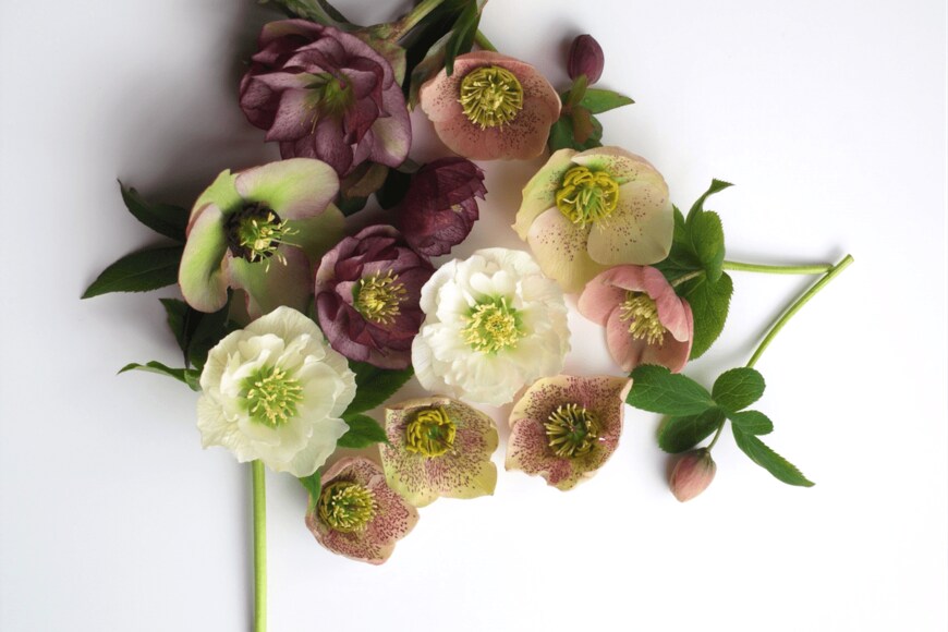 yuri-ss/istockphoto.com