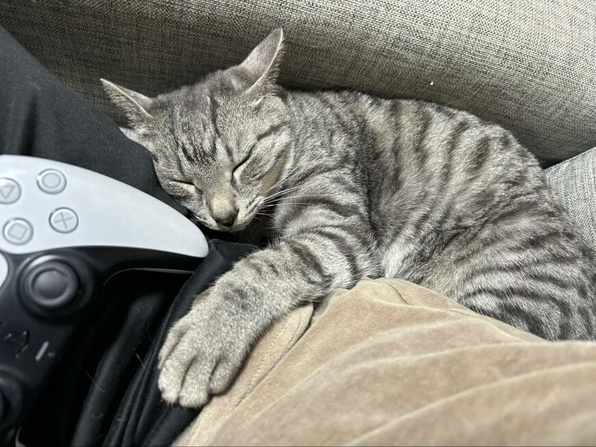 出所：@totomaru_hanmi