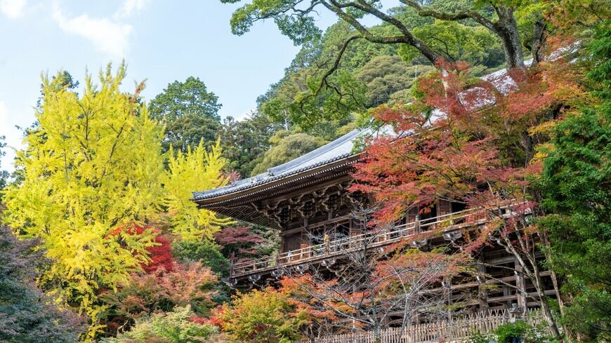 Tomonyan/shutterstock.com