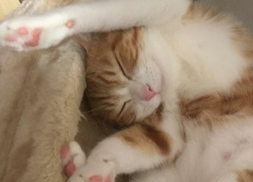 出所：@mero627puri914