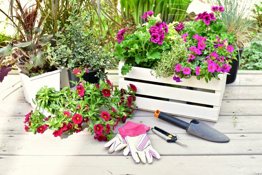 Klem Mitch/Shutterstock.com