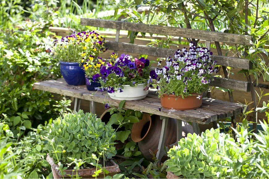 Dirk Ott/Shutterstock.com