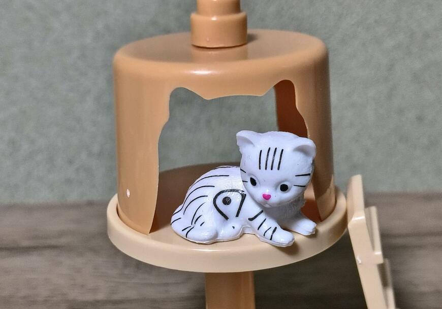 筆者撮影（ダイソー、にゃんことおうち）