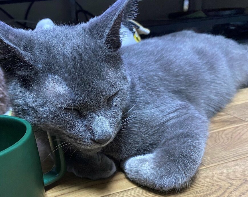 出所：@luna7taka9