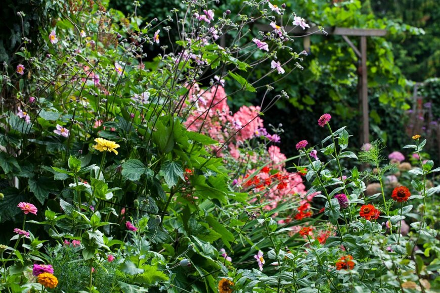 【ガーデニング】オシャレな庭づくりは「5つの植物」の組み合わせがカギ