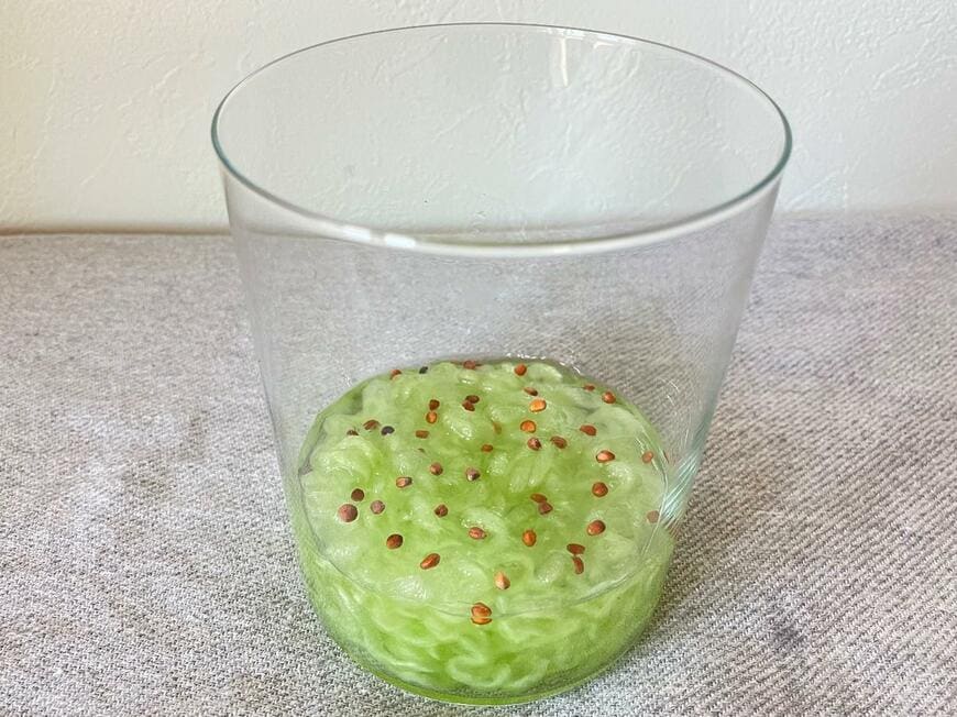 ダイソーの栽培ファイバー「プリムレア」