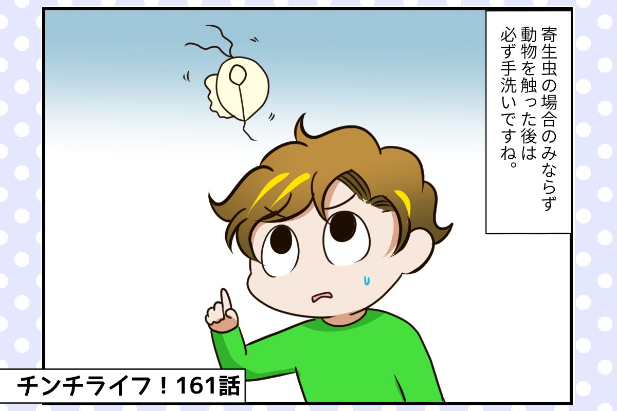 チンチライフ第161話】おみくじちゃんの長かった通院生活がついに