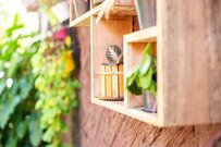 今年こそ【簡単ガーデニングDIY】100均でも揃う「いつもの庭が蘇る」庭やベランダに使えるアイテム7選