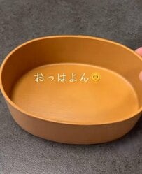 「牛肉うまうま」ズボラ主婦が旦那に作る愛情弁当はおかずがたっぷり詰まっておいしそう