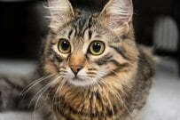 年金の平均受給額はいくら？60代〜90代以上まで《厚生年金・国民年金》一覧でチェック