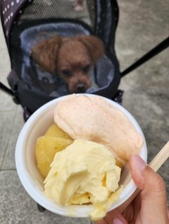 去年お祭りで食べた「じゃがバター」と1年後に同じものを購入 産まれた我が子との光景にグッとくる