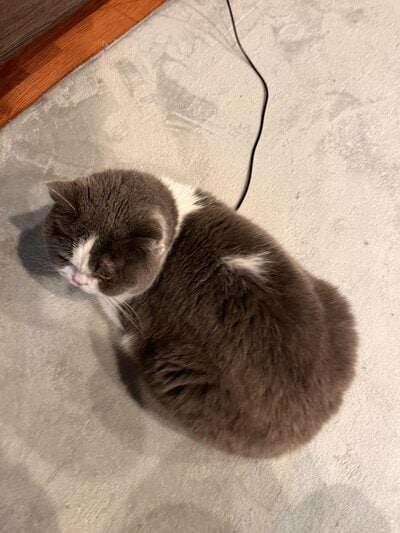 どこかに差し込み口が…？
