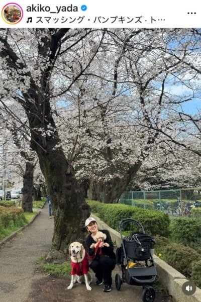 矢田亜希子のInstagram投稿