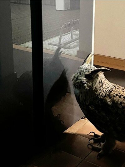 投稿写真のワンシーン