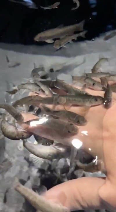 投稿の画像