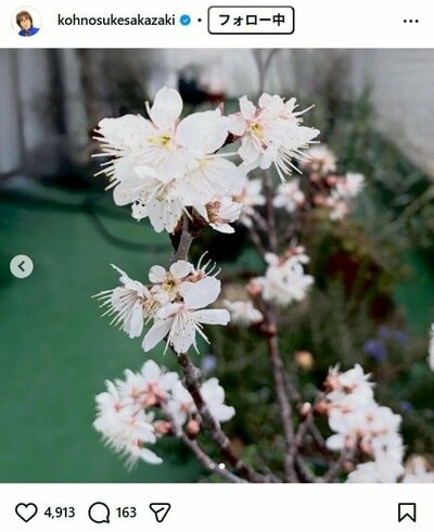 坂崎幸之助のInstagram投稿