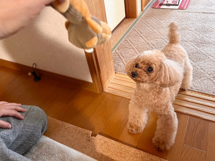 投げては取りにいくというラリーをこの後何度も続けました