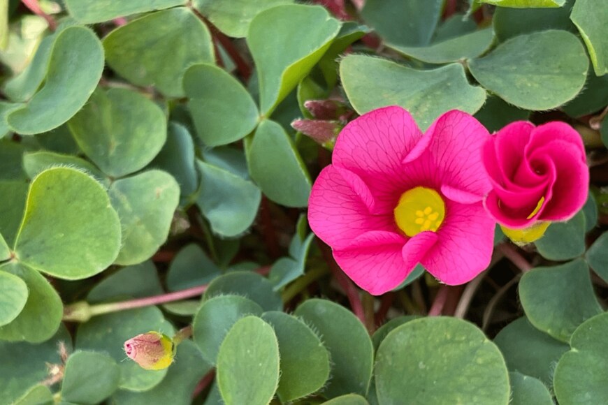 katomisa/istockphoto.com