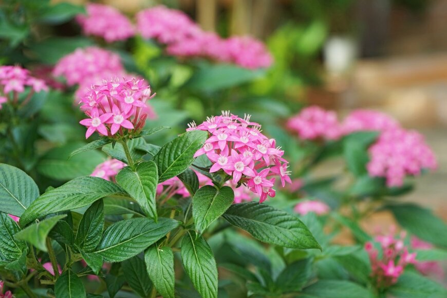 Ratana21/istockphoto.com