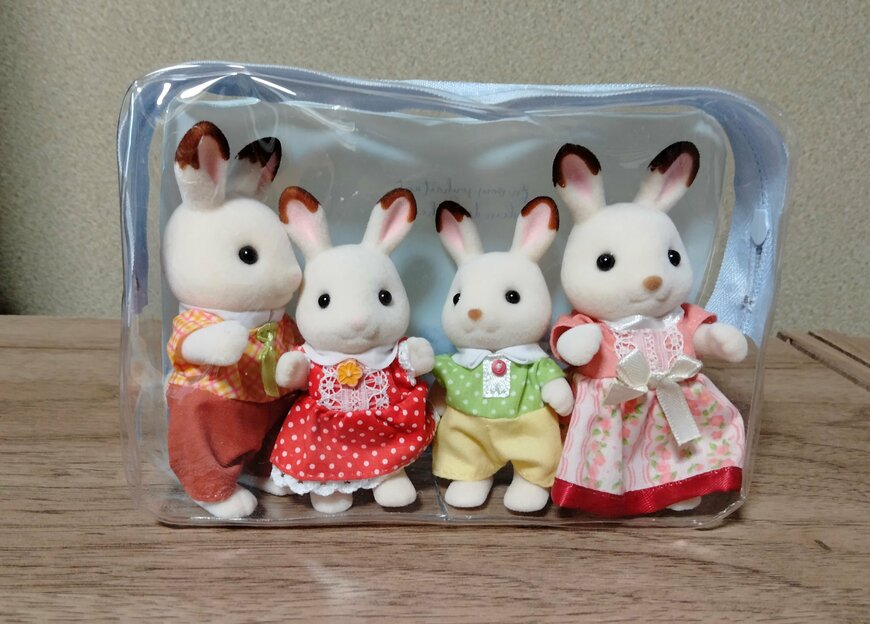 筆者撮影（キャンドゥ、クリアポーチ PVC あじさい柄）