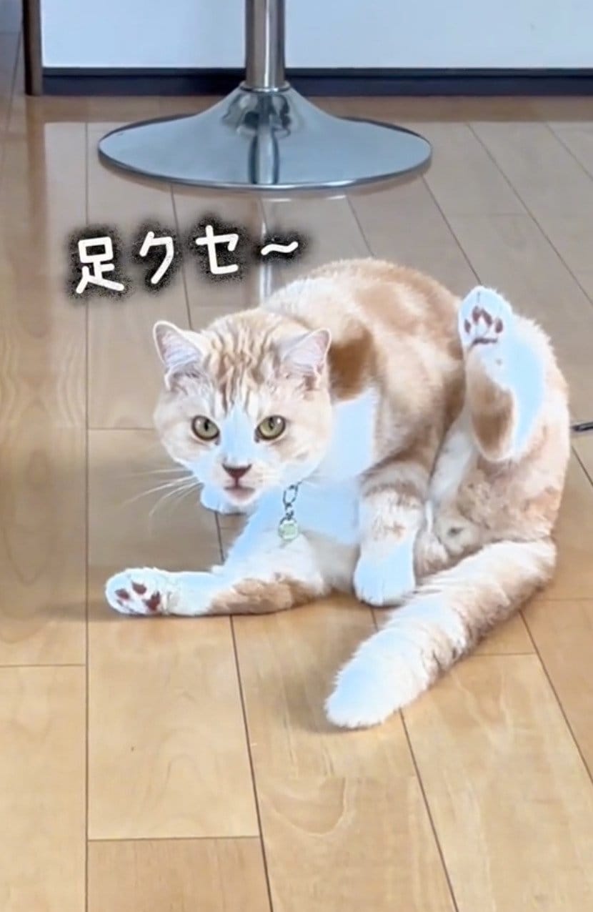 出所：@sorakai0905