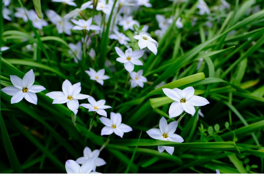 k0on121/istockphoto.com