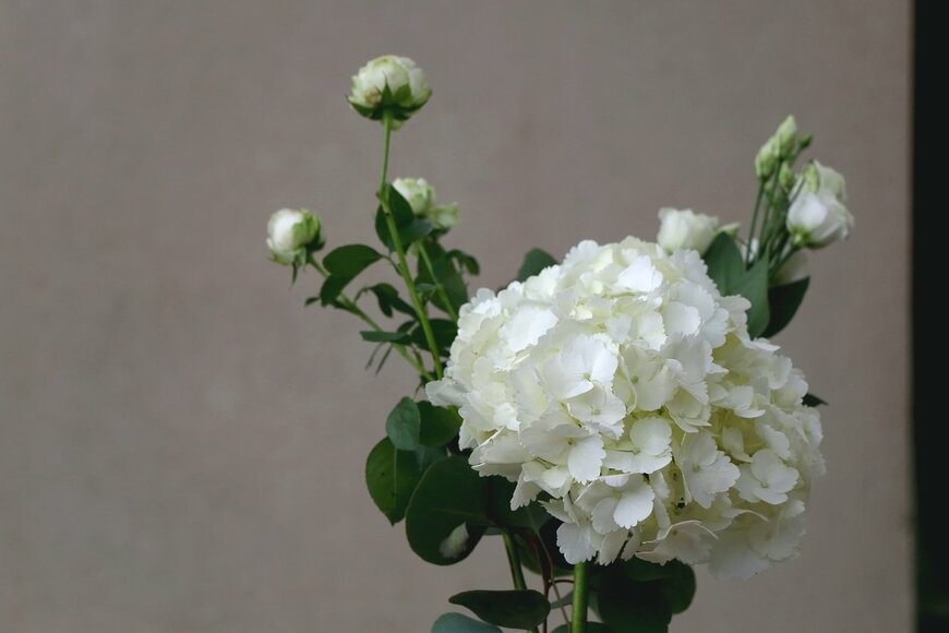 Jelena990/istockphoto.com