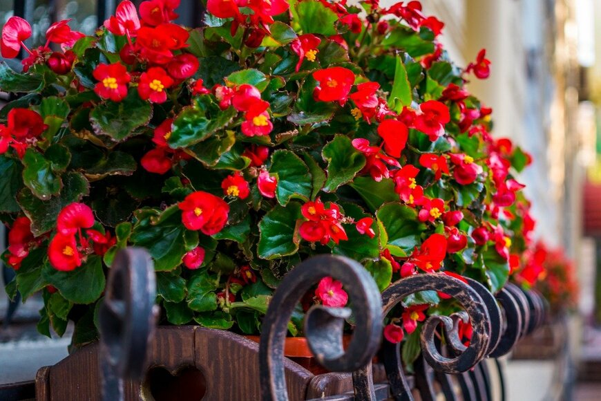 Konoplytska/istockphoto.com