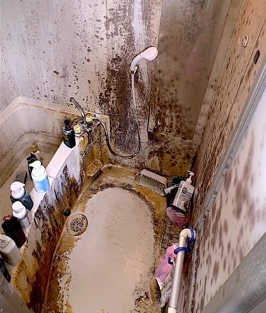 「気持ちいいいいいい！」黒カビでびっしりの〈お風呂〉→プロの技で〈ピカピカの清潔空間〉に大変身！反響続々