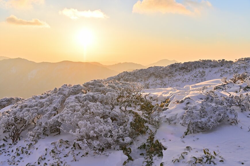 【全国旅行支援】2023年12月29日更新！全国旅行支援＆独自割を実施する県まとめ 